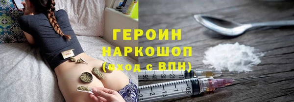 гидра Богородицк