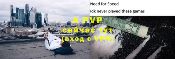 гидра Богородицк