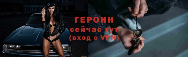 гидра Богородицк