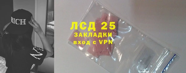 гидра Богородицк