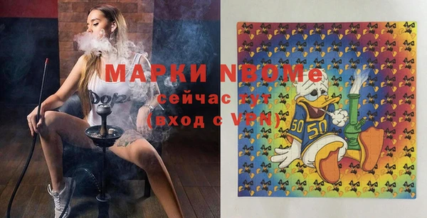 гидра Богородицк