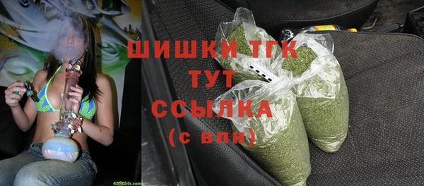 гидра Богородицк