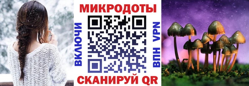 Купить где  Цимлянск  Псилоцибиновые грибы Psilocybe 